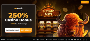 Current codes for new players
