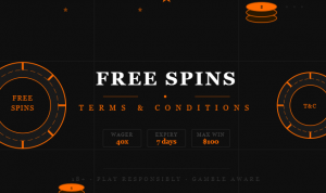 Free spins terms & conditions
